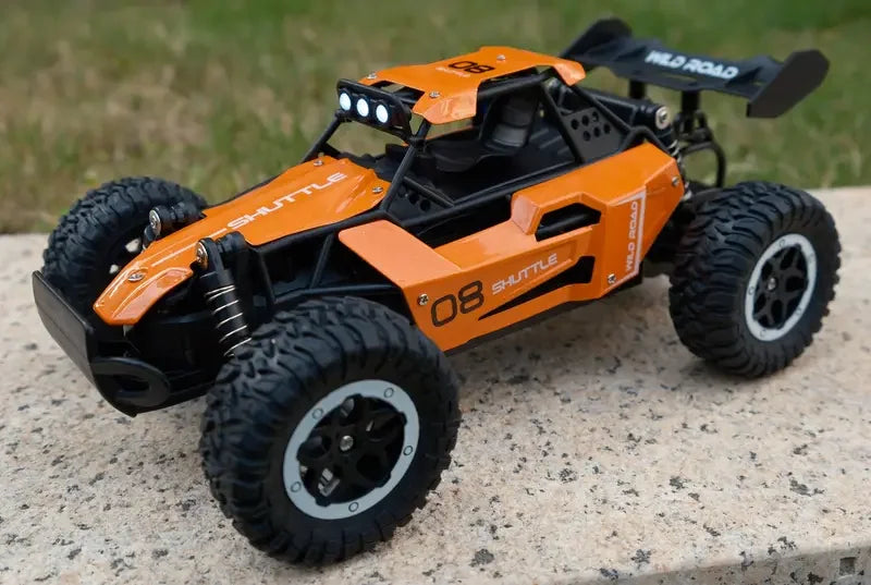 RC Off-Road Car 1:16 Scale All Terrain Fast RC Car 20KM/H High Speed 2WD Electric Vehicle with 2.4G Remote Control Monster Truck