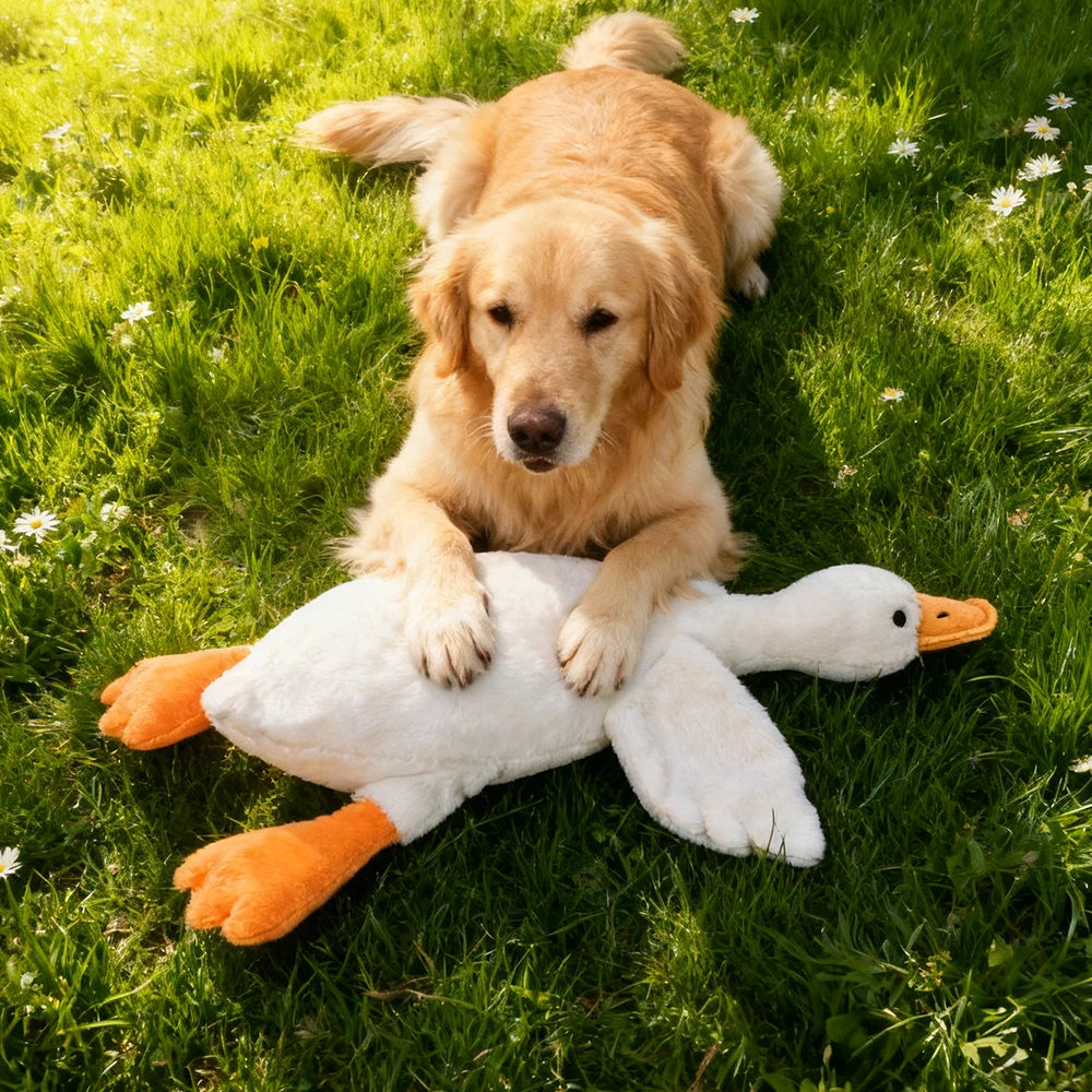 Plush, vocal, companion dog toys suitable for all breeds of cats and dogs, with double-layer fabric for tear resistance