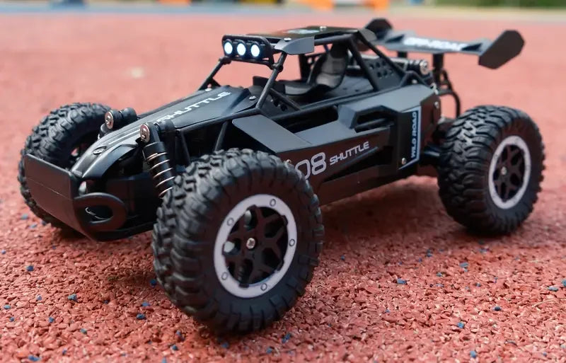 RC Off-Road Car 1:16 Scale All Terrain Fast RC Car 20KM/H High Speed 2WD Electric Vehicle with 2.4G Remote Control Monster Truck