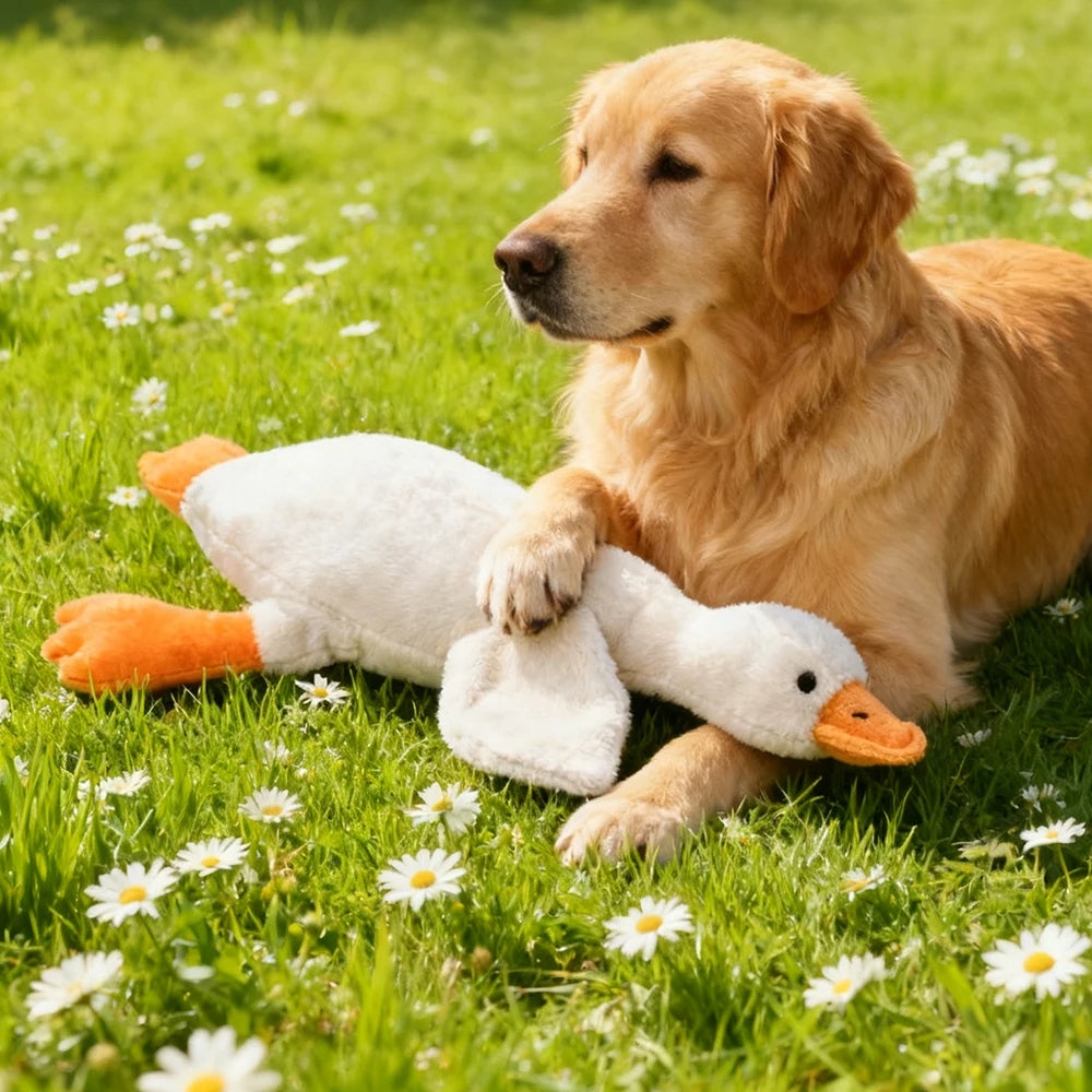 Plush, vocal, companion dog toys suitable for all breeds of cats and dogs, with double-layer fabric for tear resistance